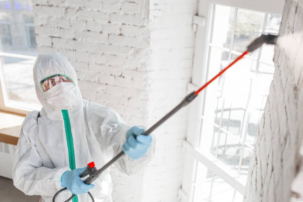 Best Environmental Consulting for Mold Prevention  in Remgton, IN