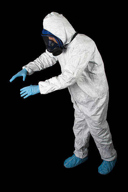 Best Basement Mold Removal  in Remgton, IN