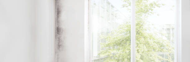 Best Air Quality Testing for Mold Spores  in Remgton, IN