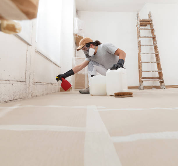 Best Mold Damage Restoration  in Remgton, IN